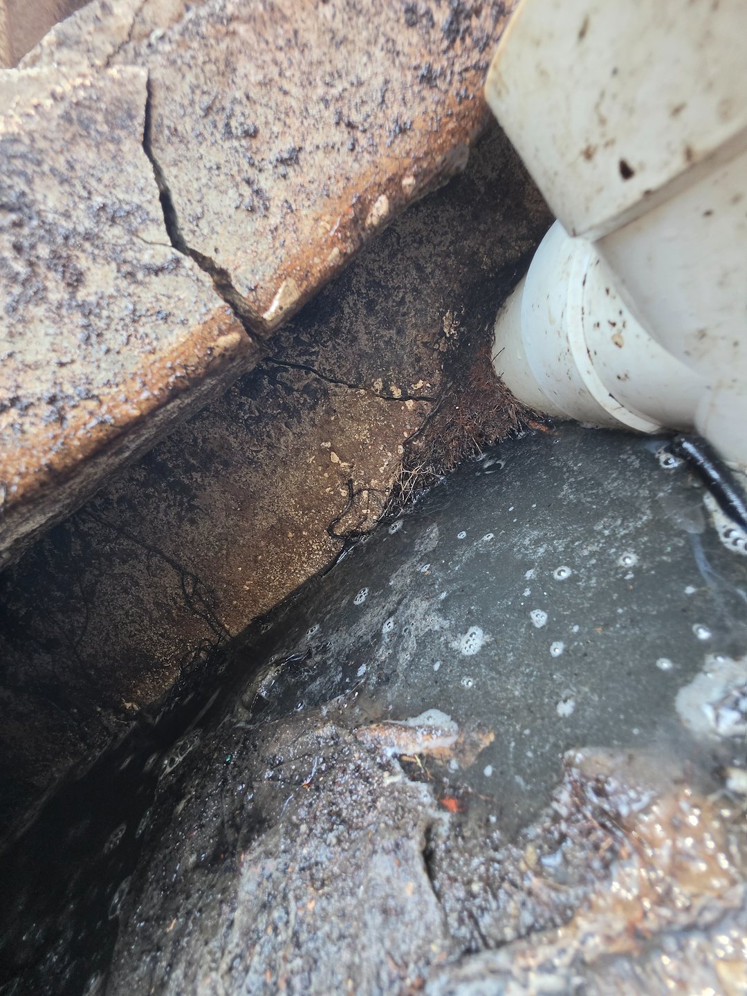 Quality Septic Inspection in Old Town Fl