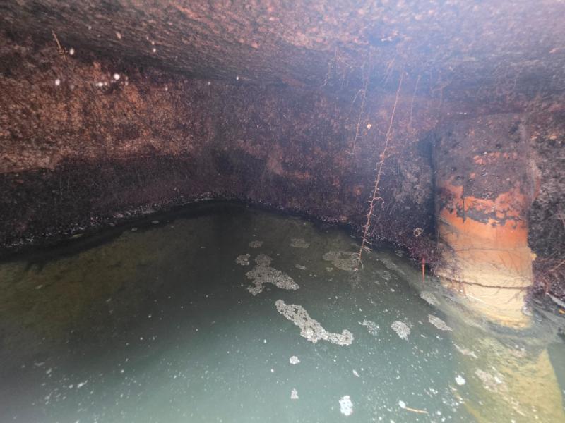 Septic Inspection in Titusville, FL
